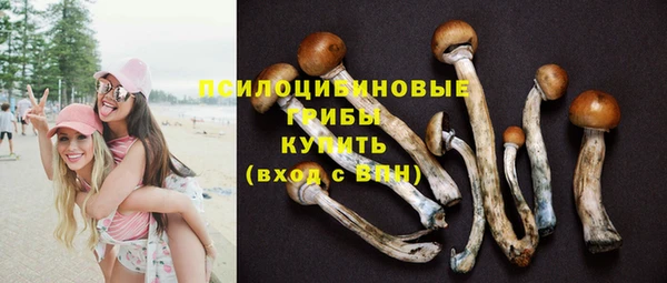 PSILOCYBIN Тихорецк