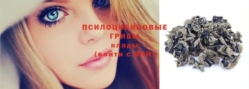 где найти   Байкальск  Галлюциногенные грибы мухоморы 