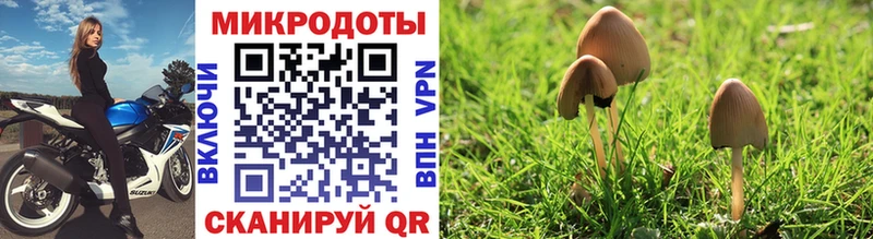 Галлюциногенные грибы Psilocybine cubensis  закладка  OMG онион  Байкальск 